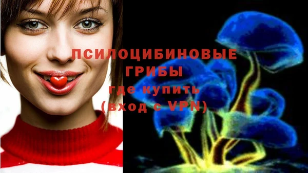 ALPHA PVP Богородск