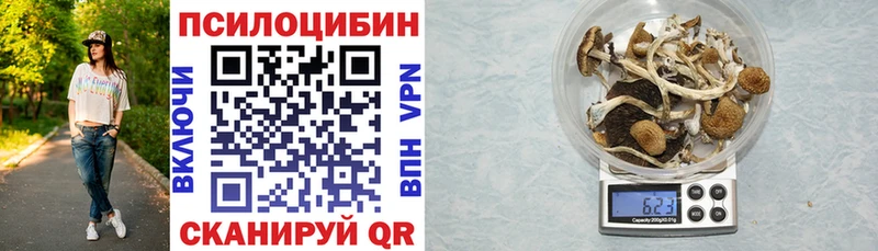 Галлюциногенные грибы MAGIC MUSHROOMS  Бугульма 